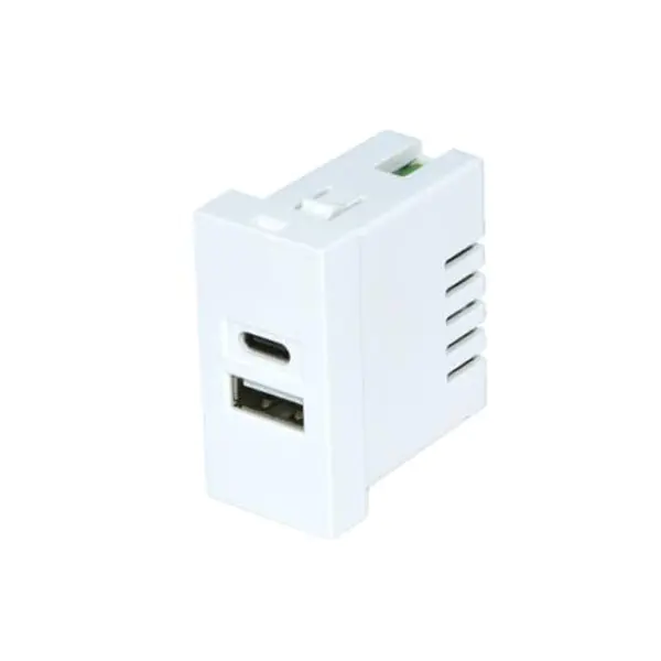 Ĝemelhaveno TypeA+C Usb-Ŝargilo-Socket Modulo